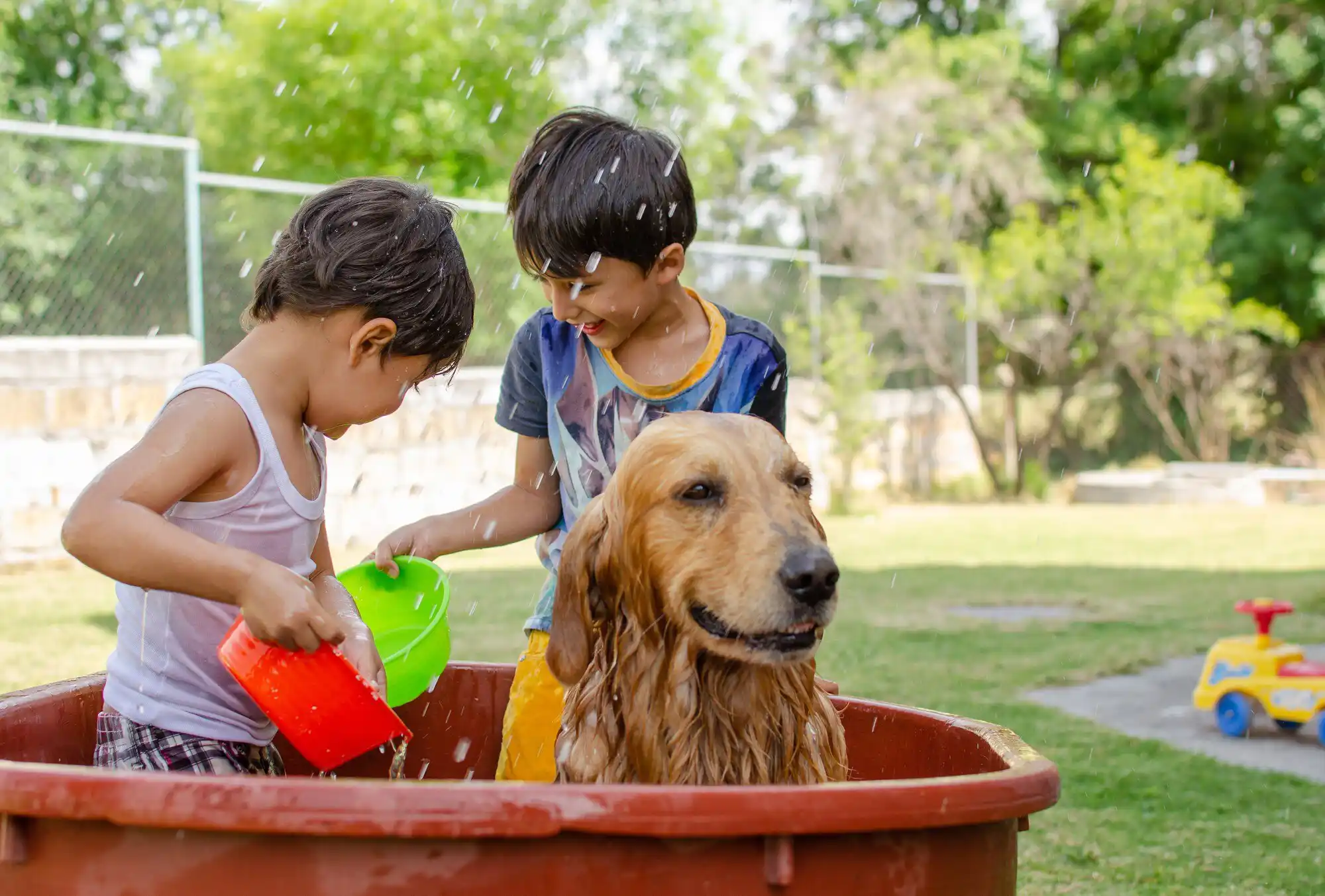 An important message for all Hong Kong dog owners about Heat Stroke: